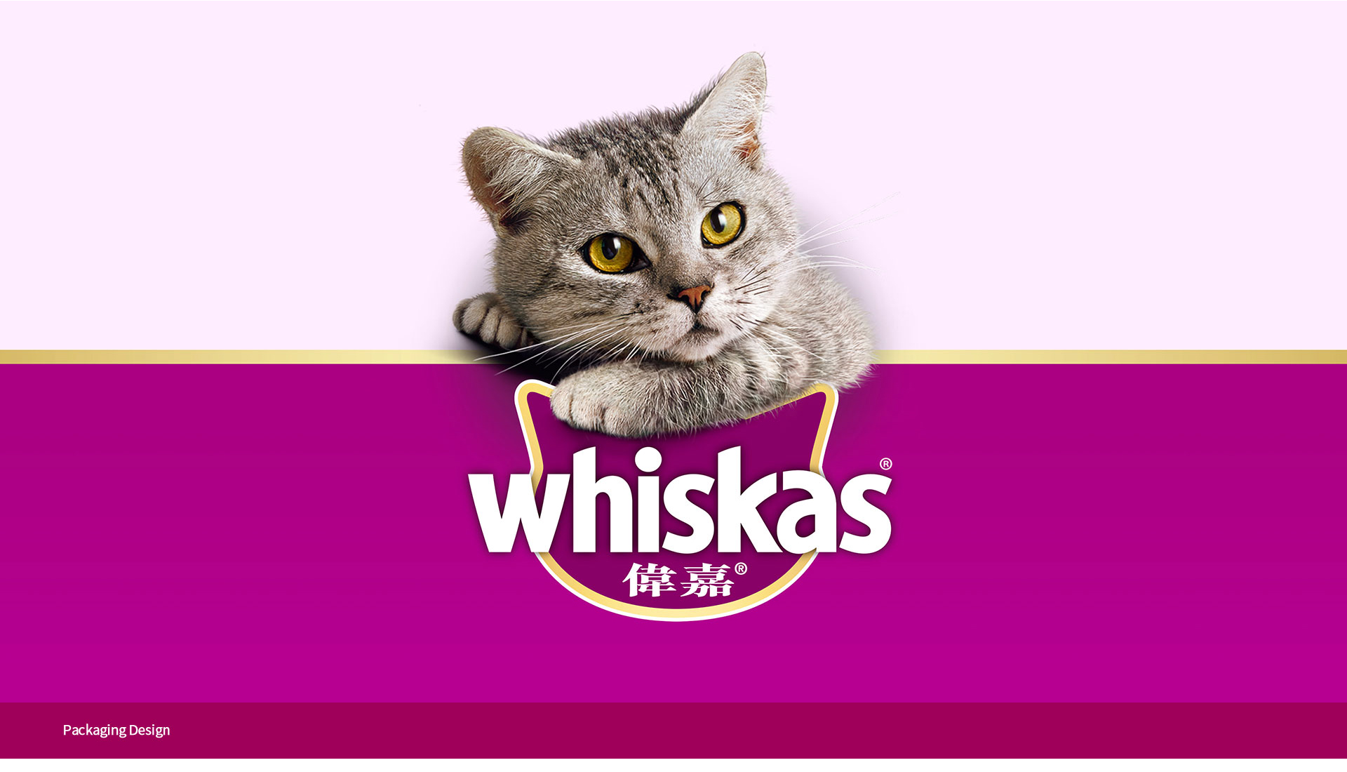 whiskers(图1)